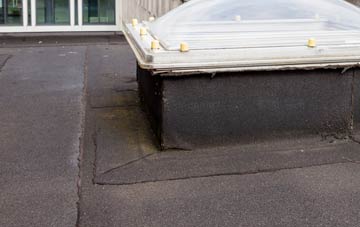 disadvantages of Penrhyn Side flat roofs